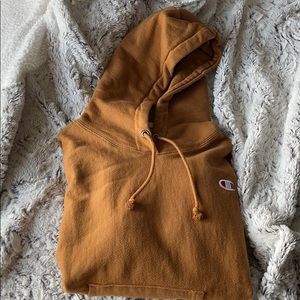 champion reverse weave hoodie